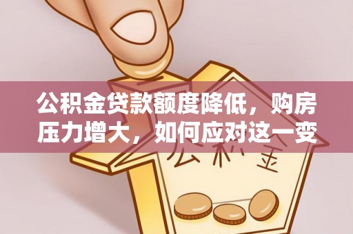 罗庄公积金贷款额度降低，购房压力增大，如何应对这一变化？
