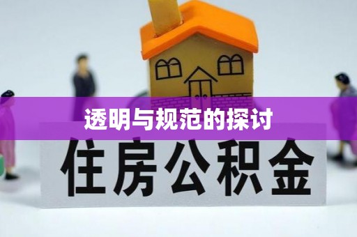 罗庄透明与规范的探讨