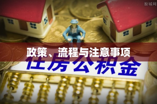 罗庄政策、流程与注意事项