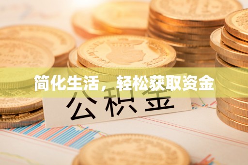 罗庄简化生活，轻松获取资金