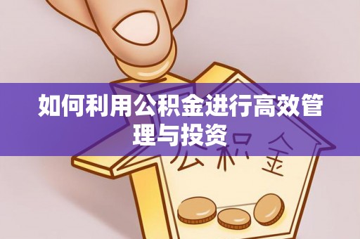 罗庄如何利用公积金进行高效管理与投资