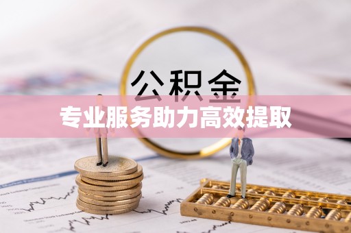 罗庄专业服务助力高效提取